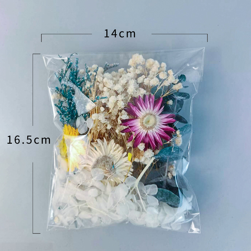 다양한 건조 꽃 세트 1팩 DIY 공예 홈 웨딩 장식  - Embellish Craft 리뷰 및 가격