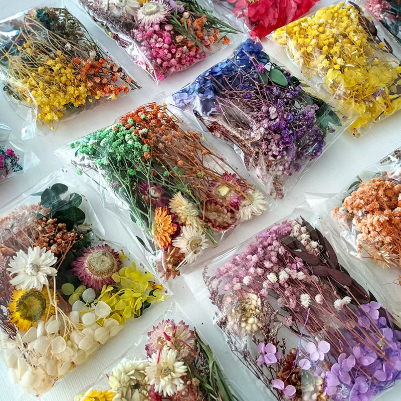 다양한 건조 꽃 세트 1팩 DIY 공예 홈 웨딩 장식  - Embellish Craft 리뷰 및 가격